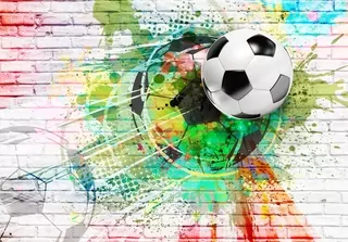 Murando PREMIUM FOTOTAPETY 350x256 FUTBAL
